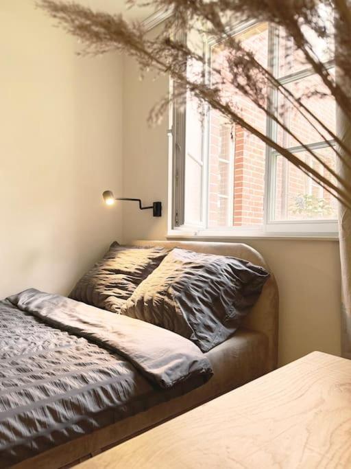 Natural Apartment In The City Center - Old Town Βρότσλαβ Εξωτερικό φωτογραφία